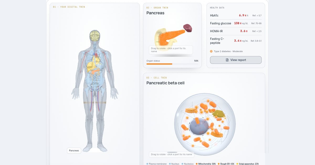 Gemelo digital del cuerpo humano, órgano y célula con datos sintéticos